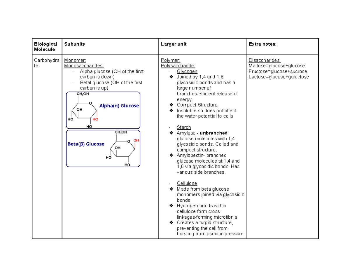 Biological Molecules Overview: Monomers, Polymers, and Functions - Studocu