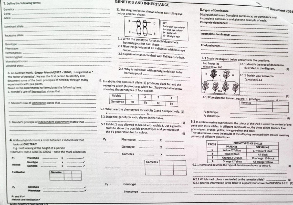 Bio 2024: Revision Notes on Genetics and Inheritance Concepts - Studocu