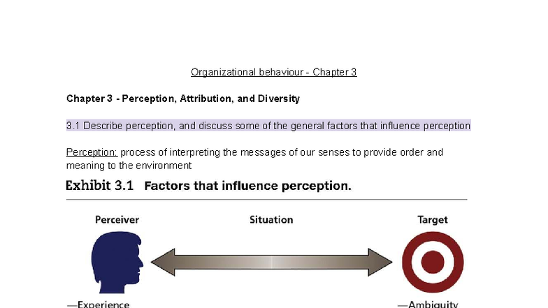 Organizational Behaviour CH3: Perception, Attribution & Diversity Notes ...