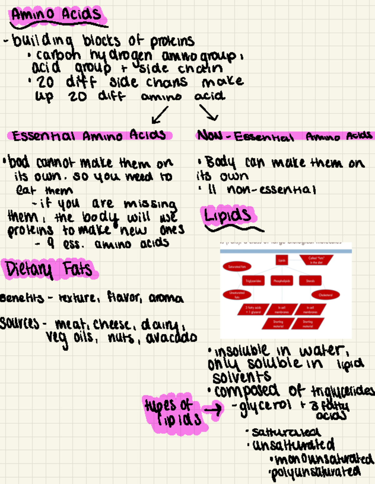 Culinary Nutrition (CULN 101): Essential Nutrients and Food Safety ...