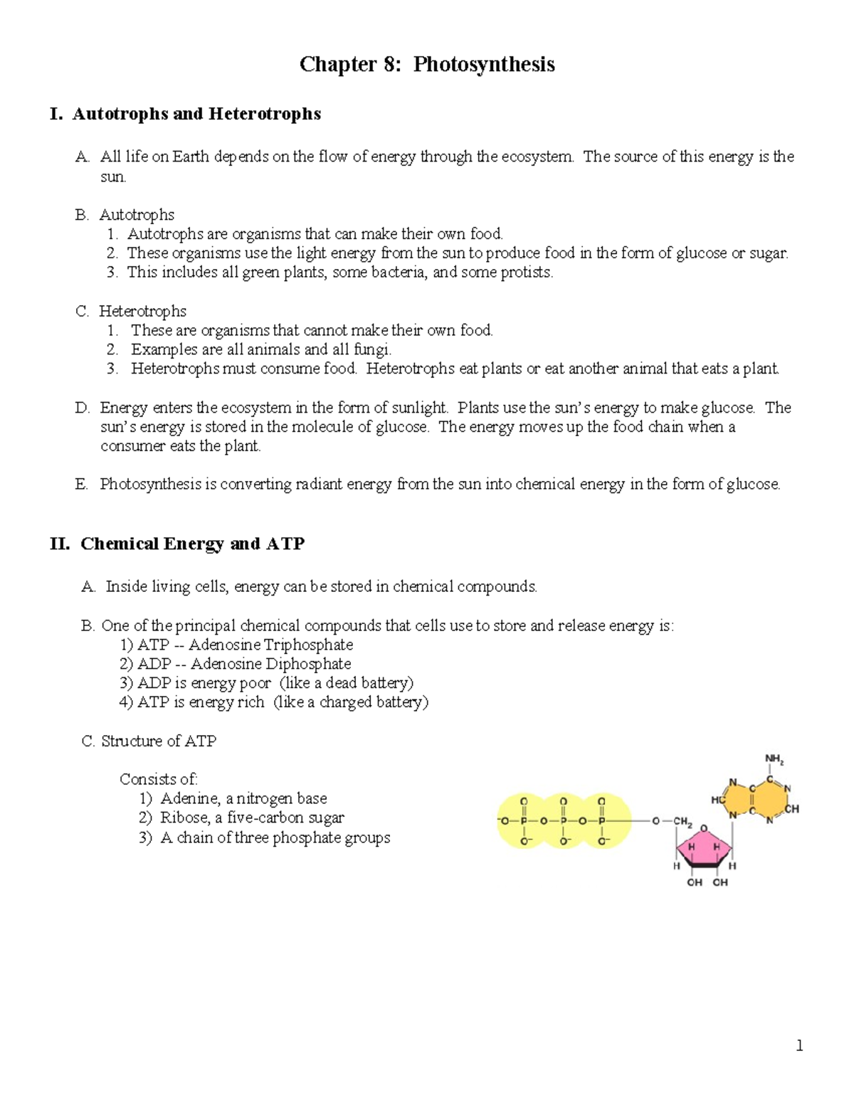 Chapter 8 Summary: Notes on Photosynthesis and Energy Transfer - Studocu