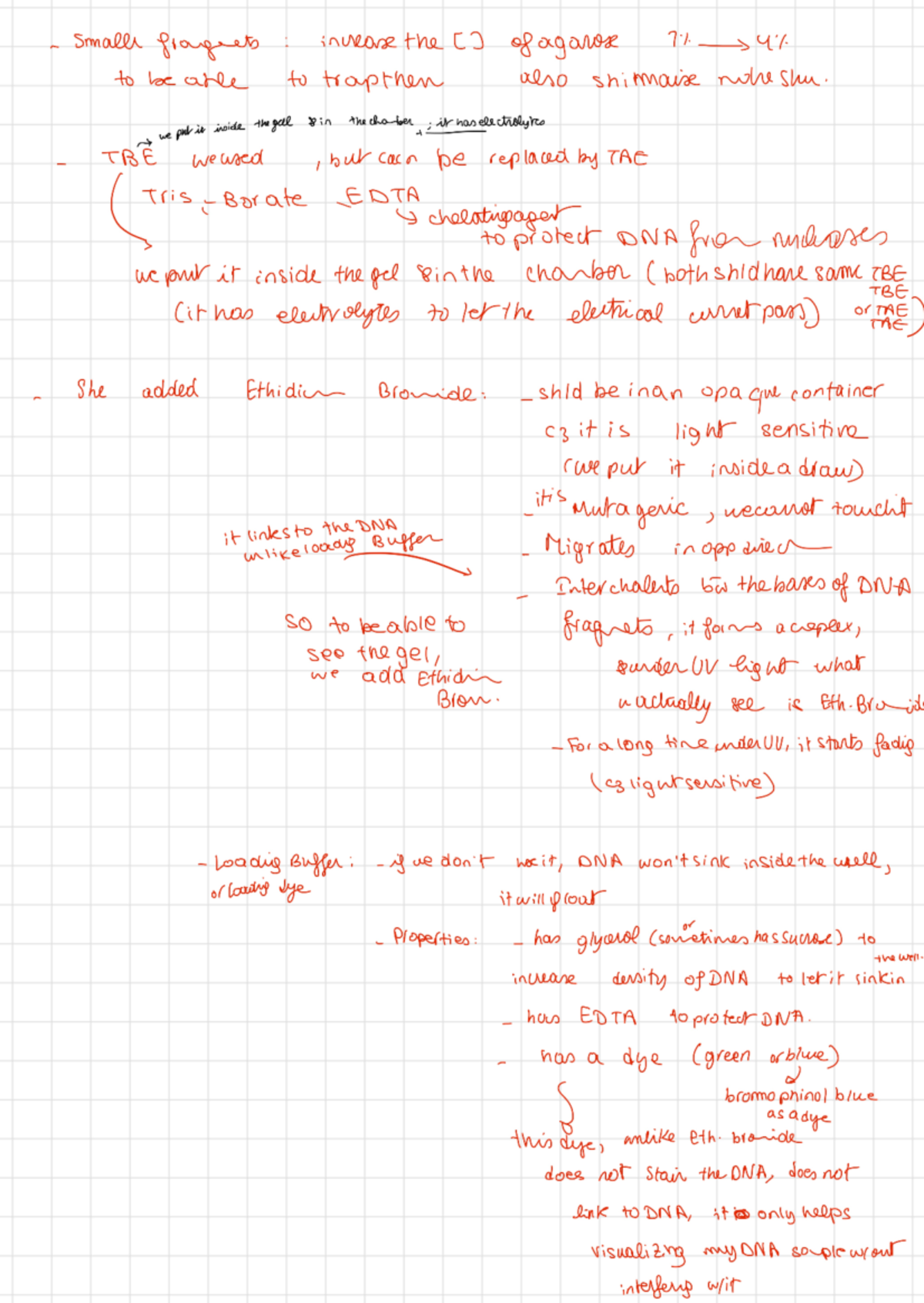 Gen Lab Notes - 020 AN: Understanding Key Concepts and Findings - Studocu