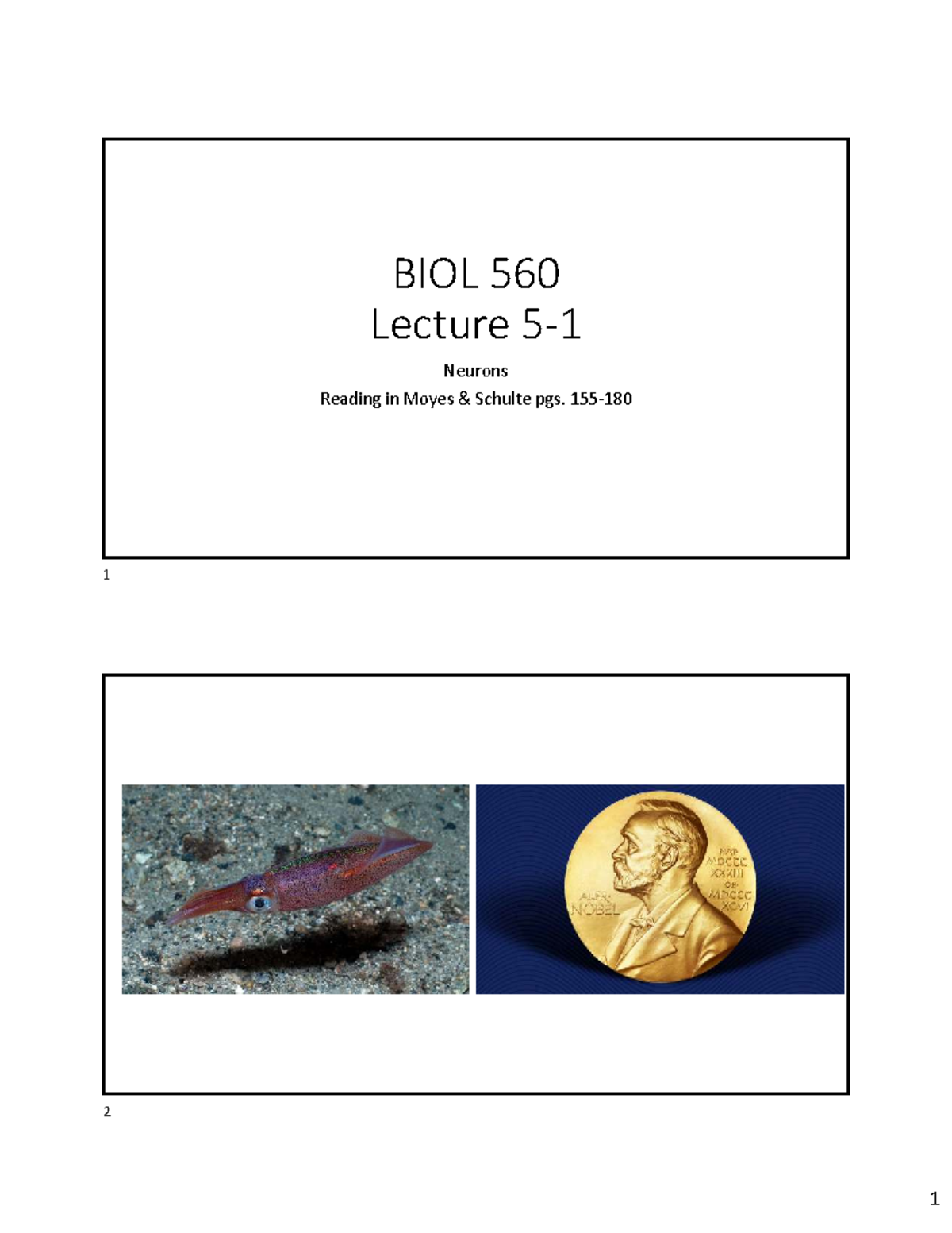 BIOL 560 Lecture 5-1: Membrane Potential & Action Potentials in Neurons ...