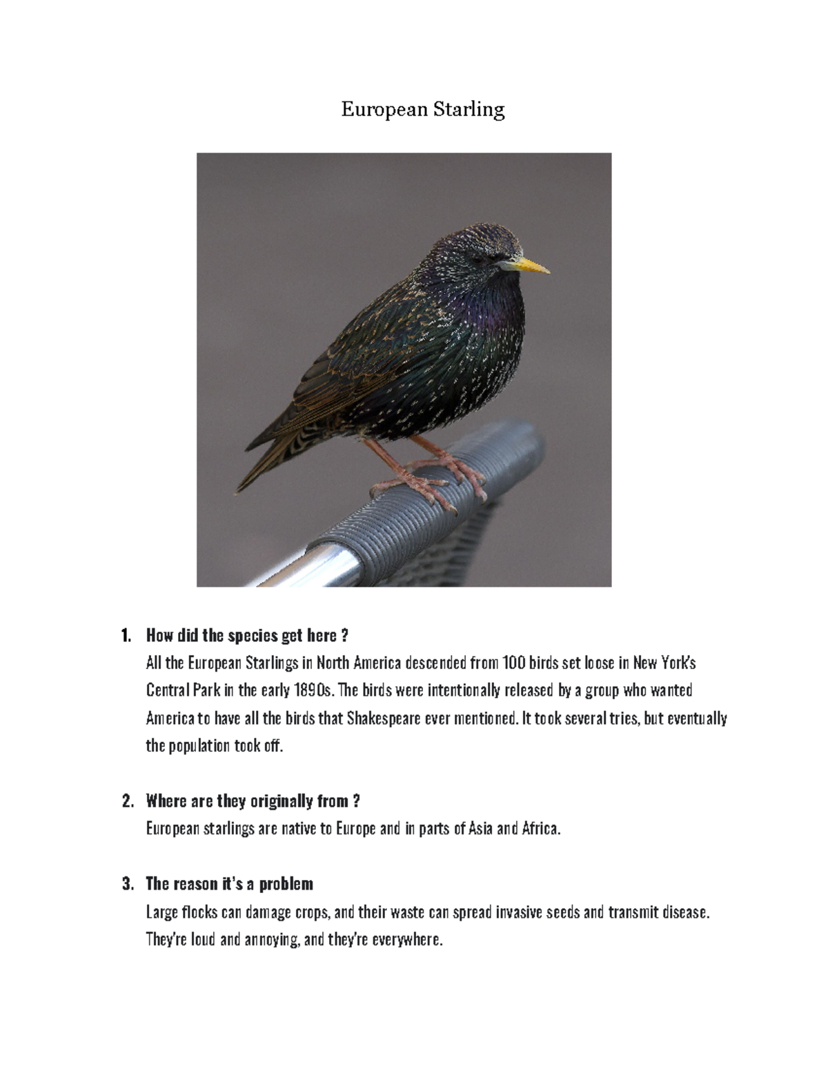 Invasive Species Analysis: European Starling Overview - Studocu