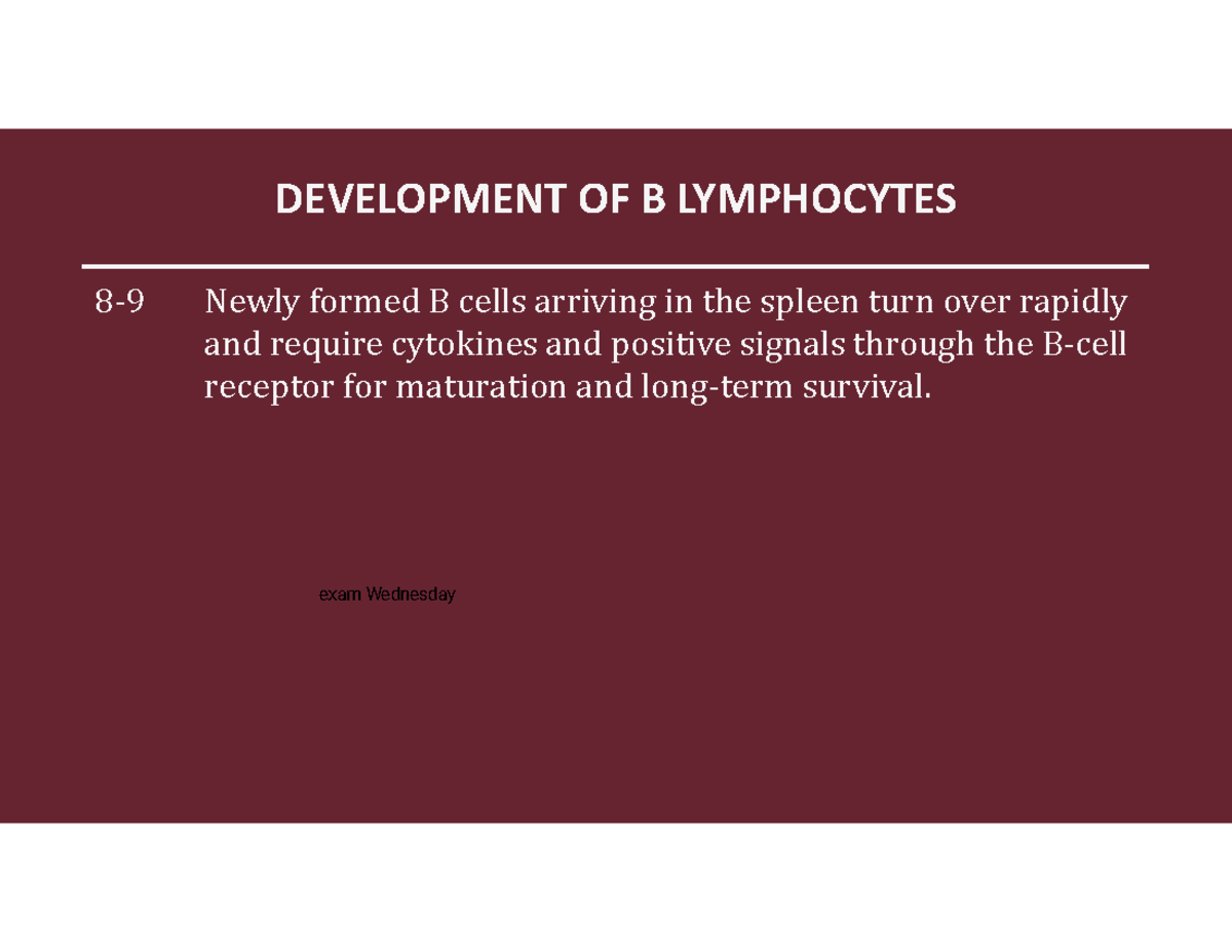 Development of T Lymphocytes: Key Stages and Mechanisms (BIO 101) - 8-9 ...
