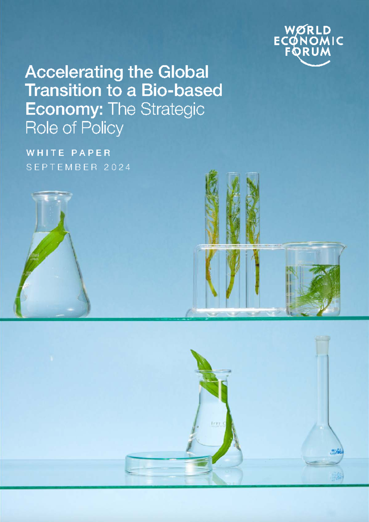 Accelerating the Global Transition to a Bio-based Economy: Policy ...