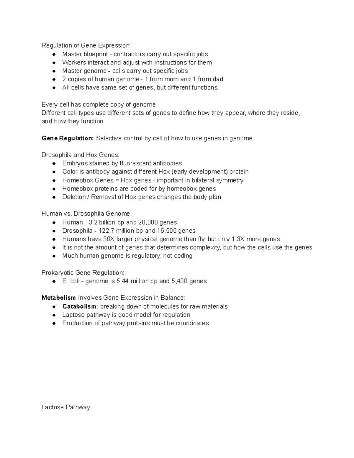 Regulation of Gene Expression: Exam 2 Summary Notes (BIO 101) - Studocu