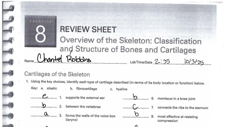 Anatomy intelligence overview