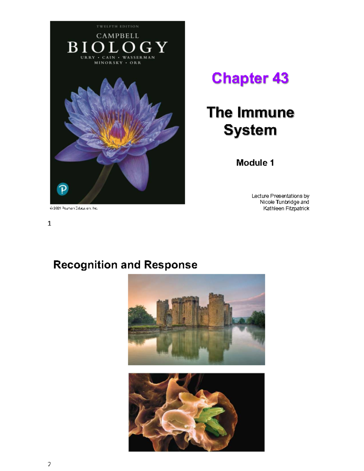 Chapter 43: The Immune System - Lecture Notes (Module 1) - Studocu