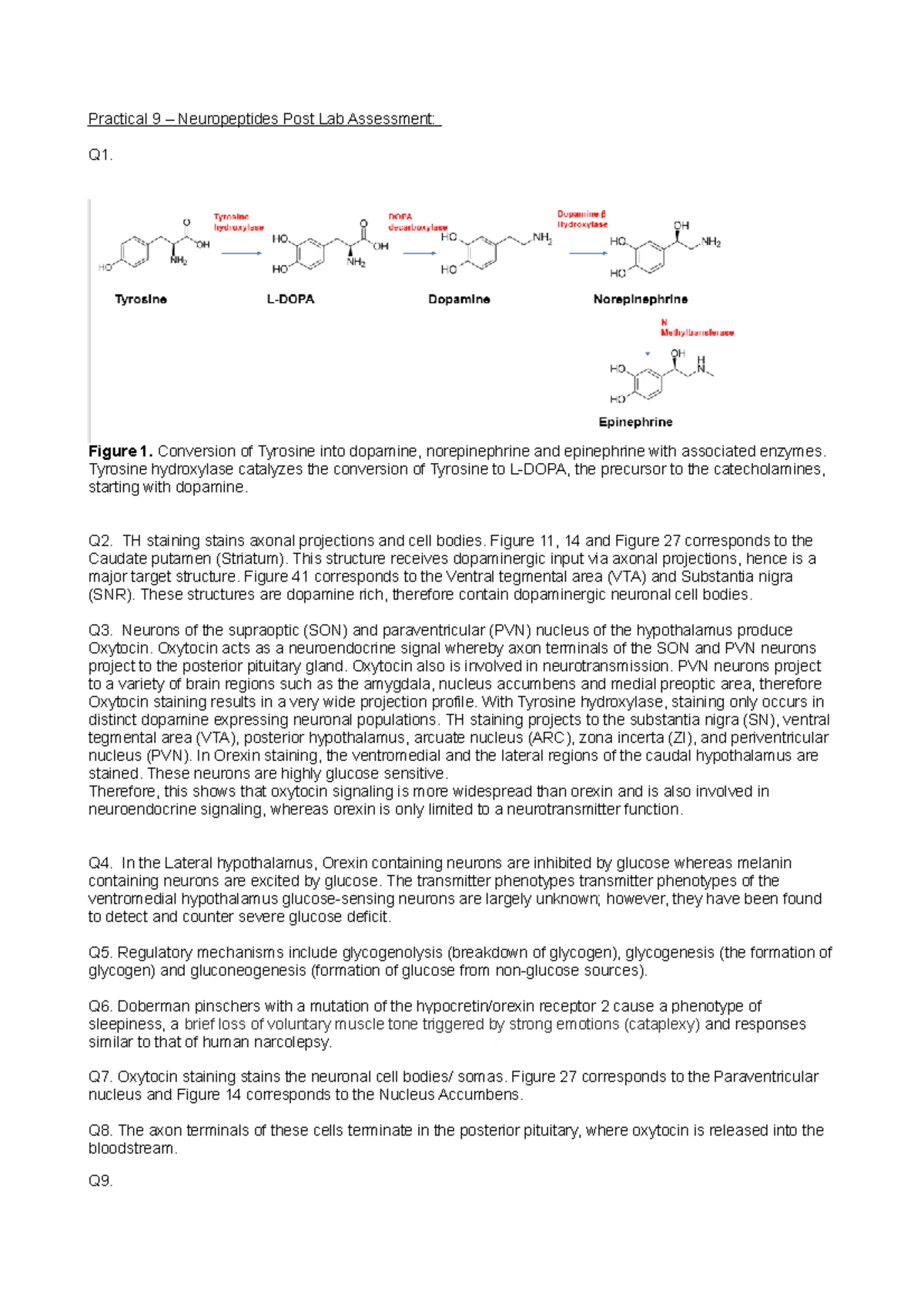 Radioligand Binding Assays Overview: Methods & Applications Explained ...