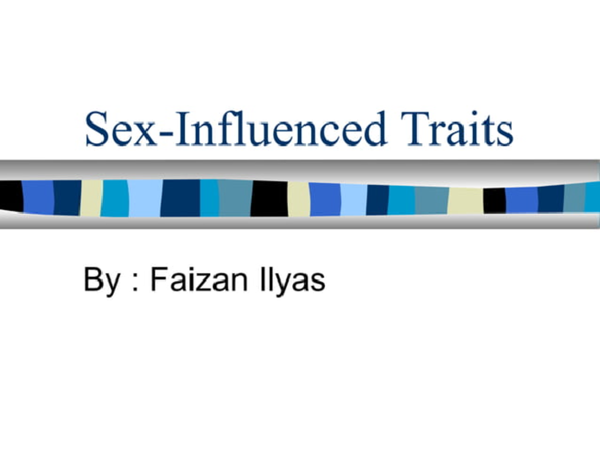 1c4c3723 1282 401a 8749 2452f2011 049 - Traits : Faizan Ilyas Traits ...
