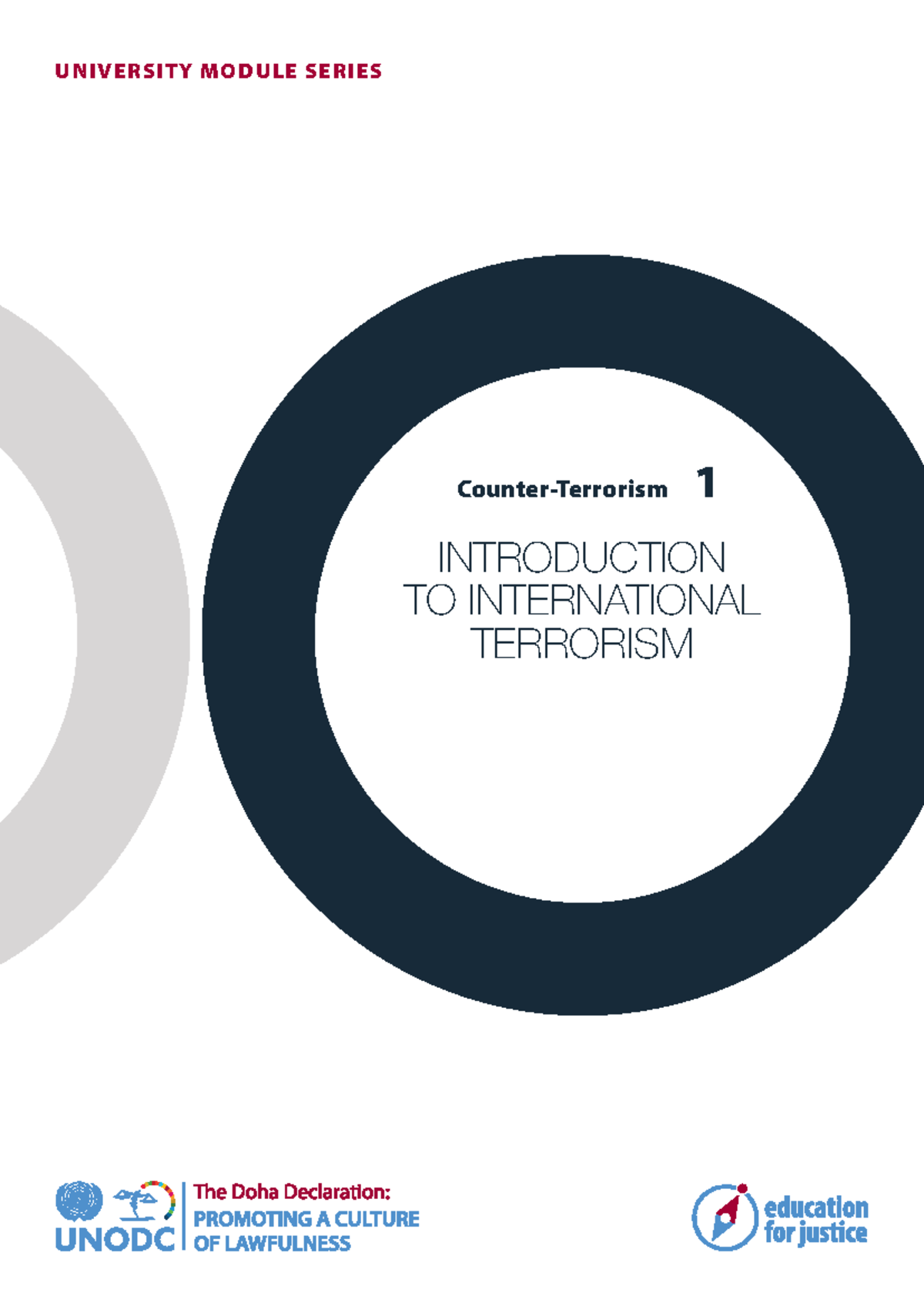 UNIVERSITY MODULE SERIES 1: INTRODUCTION TO INTERNATIONAL TERRORISM ...