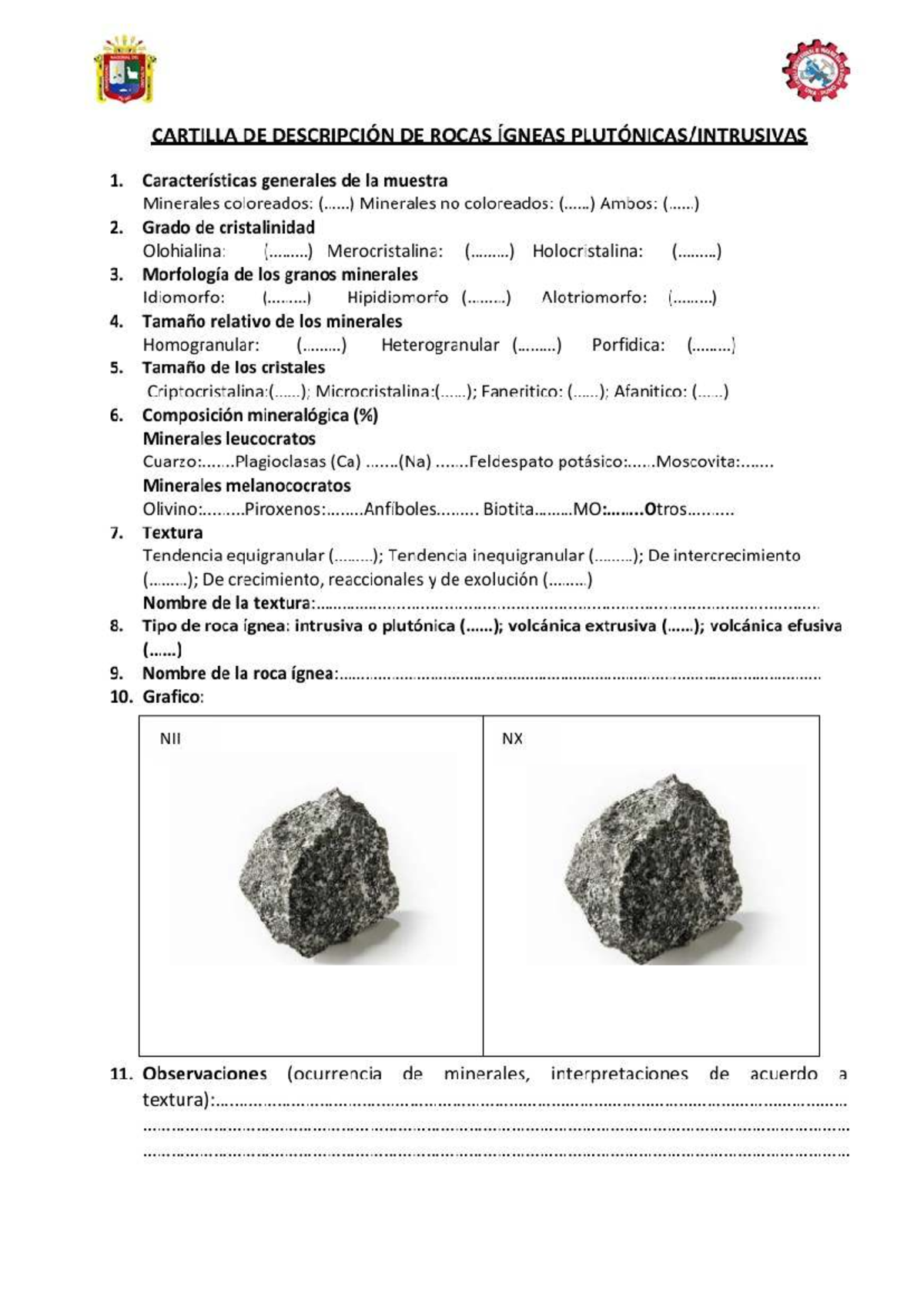 Fichas 41-60: Características de Minerales en Rocas Ígneas Intrusivas ...
