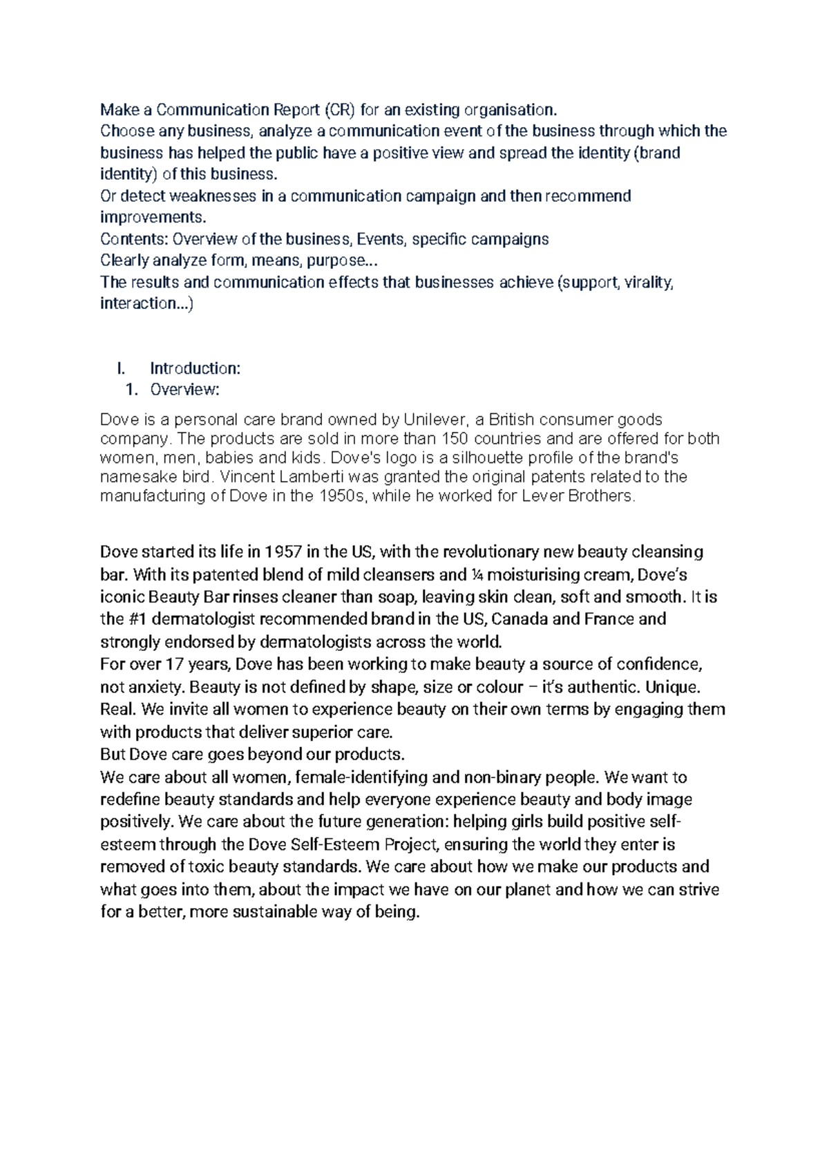 CCO201 Individual Assignment - Make a Communication Report (CR) for an ...