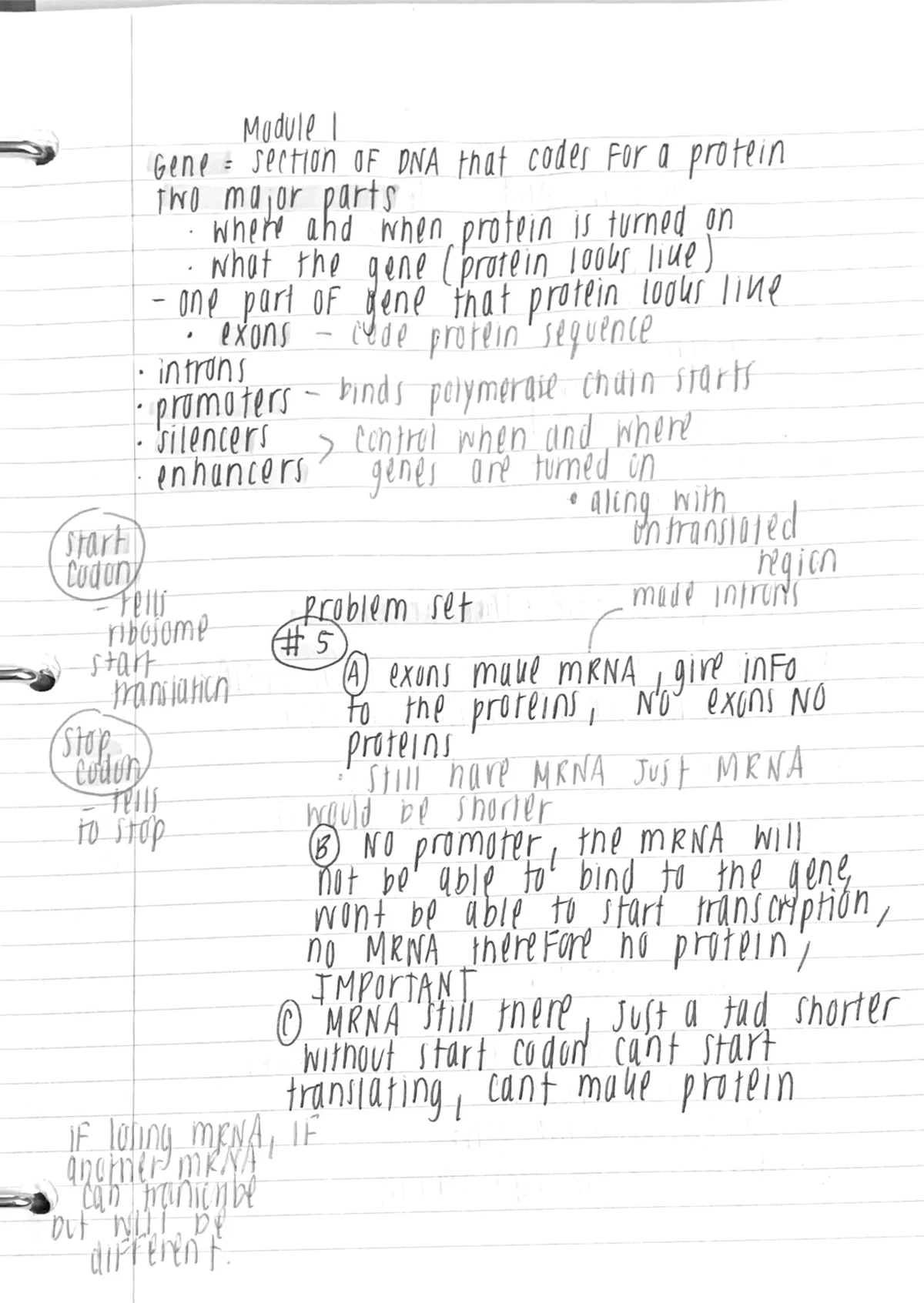 Genetics Genome Notes - Genome All Genetic DNA of an organism Every ...