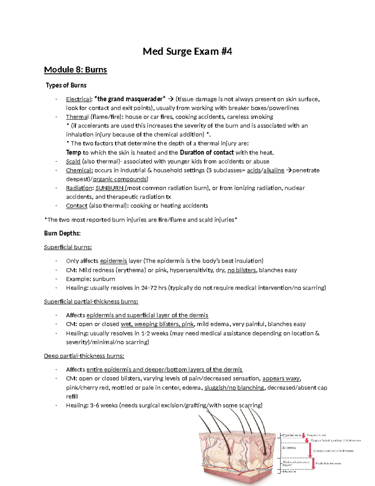 Med Surg 3 Exam 4 Study Guide: Comprehensive Overview on Burns and ...