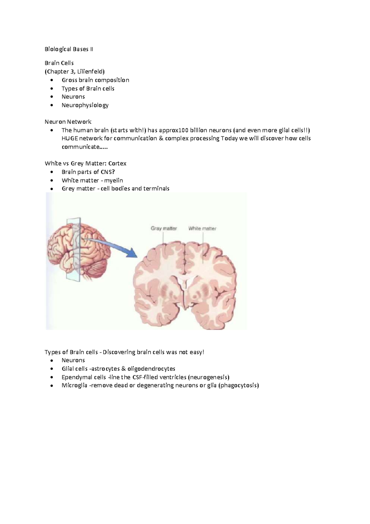 W12 L12 - Detailed lecture notes - Biological Bases II Brain Cells ...