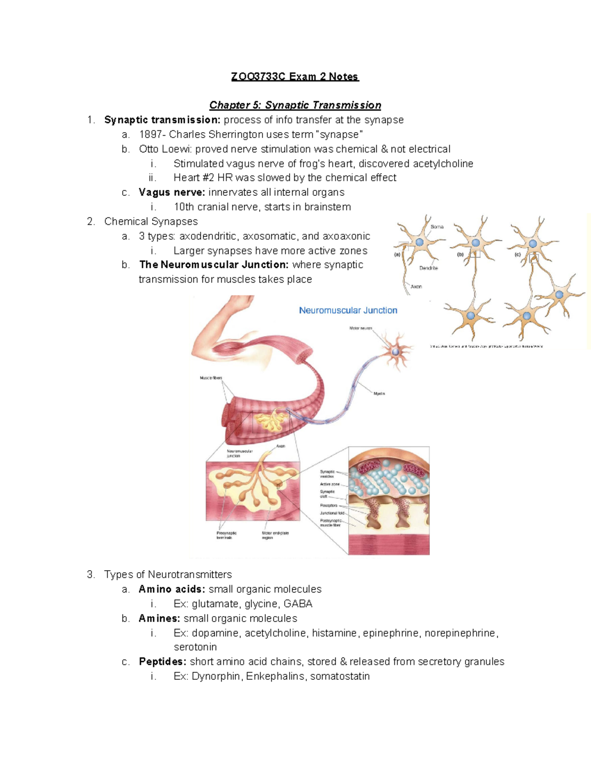 ZOO3733C Exam 2 Notes: Synaptic Transmission Concepts in Neuroscience ...