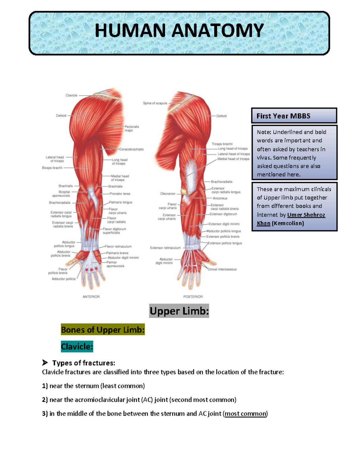 HUMAN ANATOMY: Upper Limb Clinicals Notes for First Year MBBS - Studocu