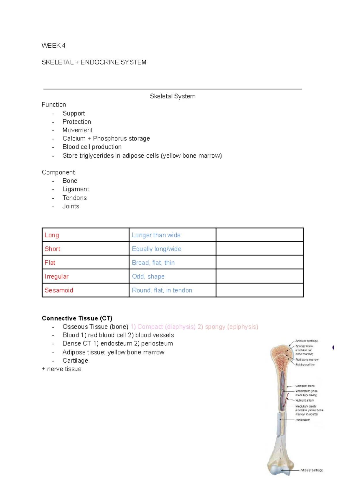 Human Bioscience Summary Week 5: CNS, PNS, and Sensory Systems - Studocu