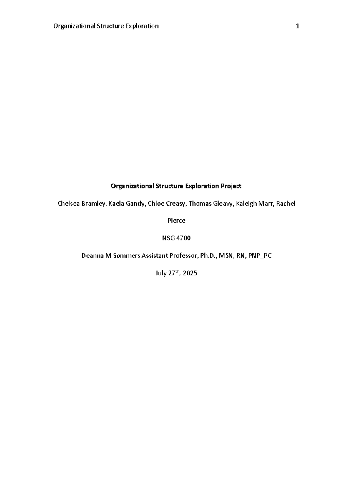 NSG 4700 Organizational Structure Exploration Project: Emergency Room ...