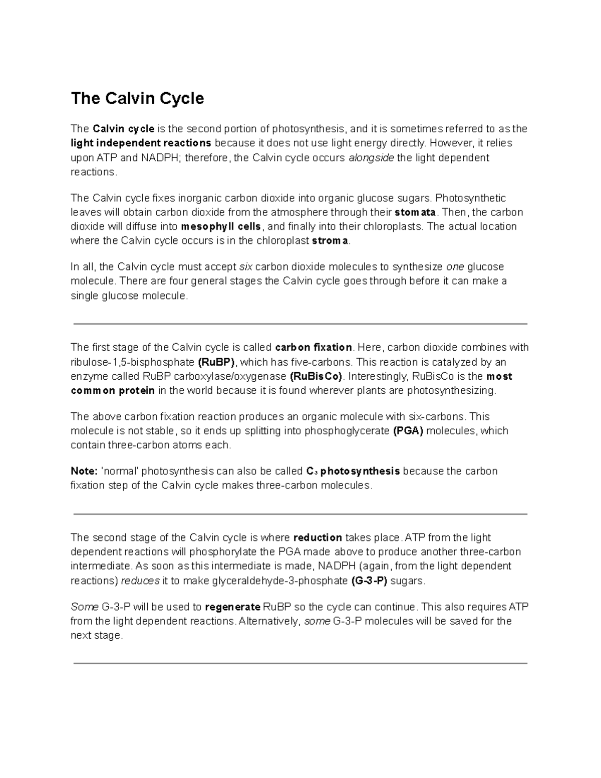 The Calvin Cycle - Lecture Notes for Biology 101 (Lec 8-9) - Studocu