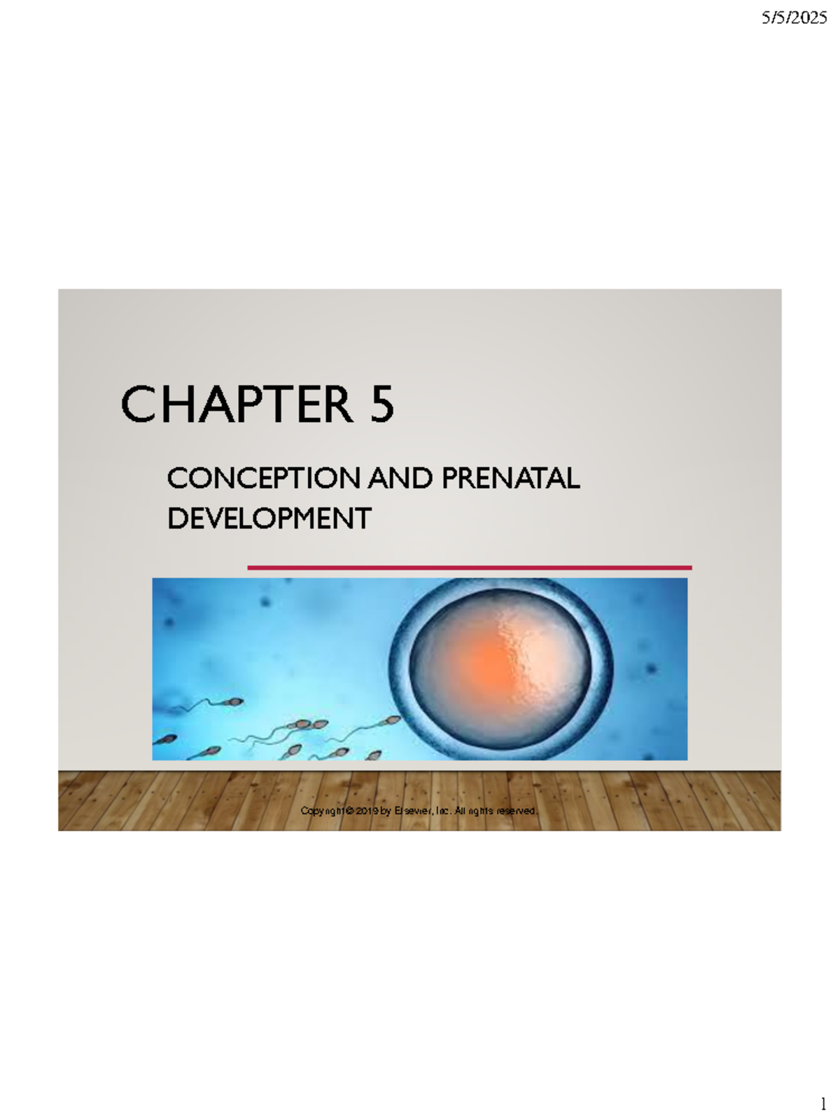 CHAPTER 5: CONCEPTION AND PRENATAL DEVELOPMENT OVERVIEW - Studocu