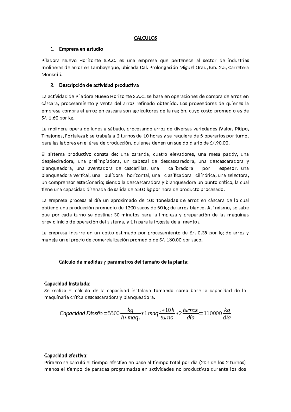 Capacidad y Productividad en Piladora Nuevo Horizonte S.A.C. - Document Preview