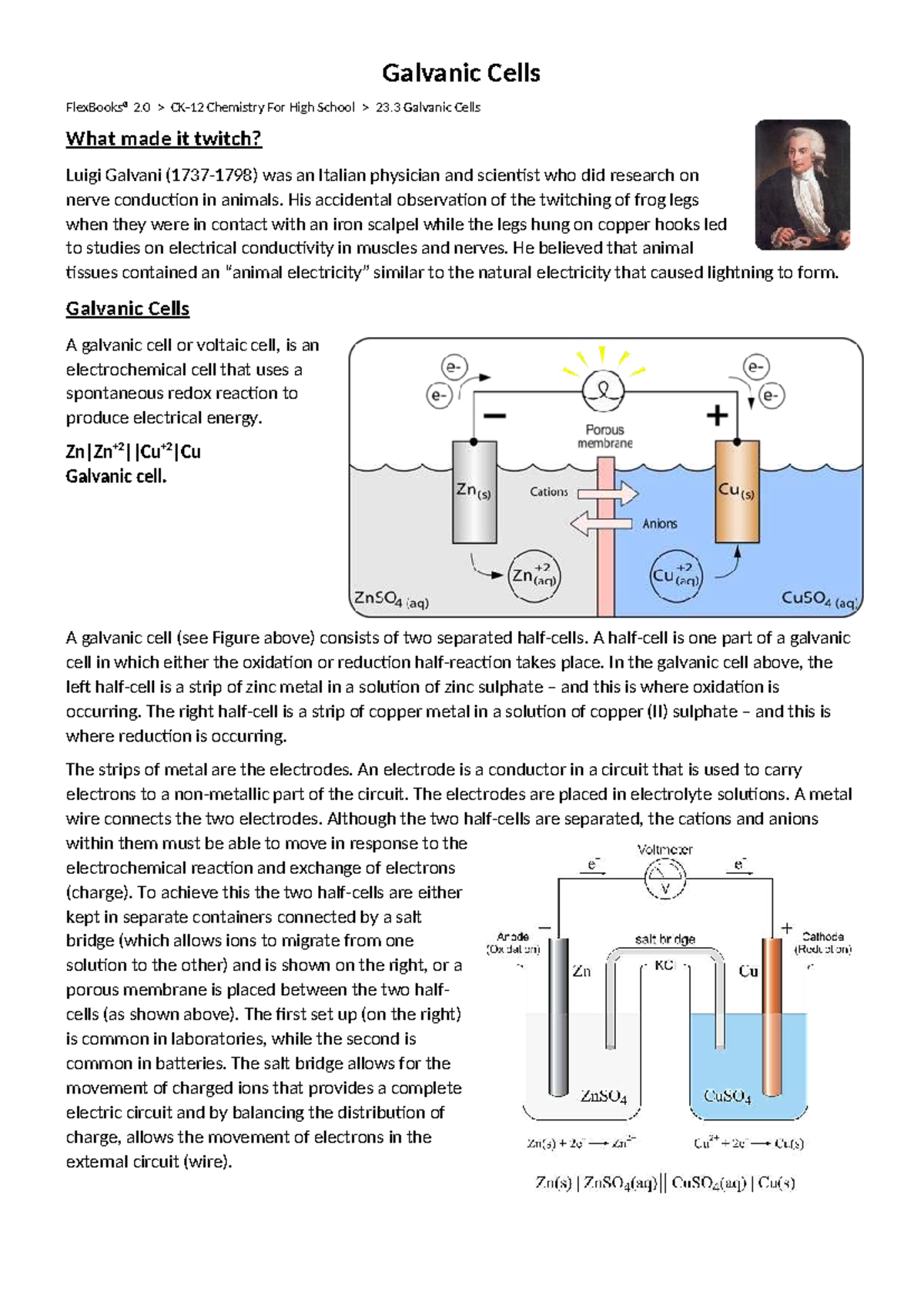 Galvanic Cells: Understanding Electrochemical Reactions in Chemistry 23 ...