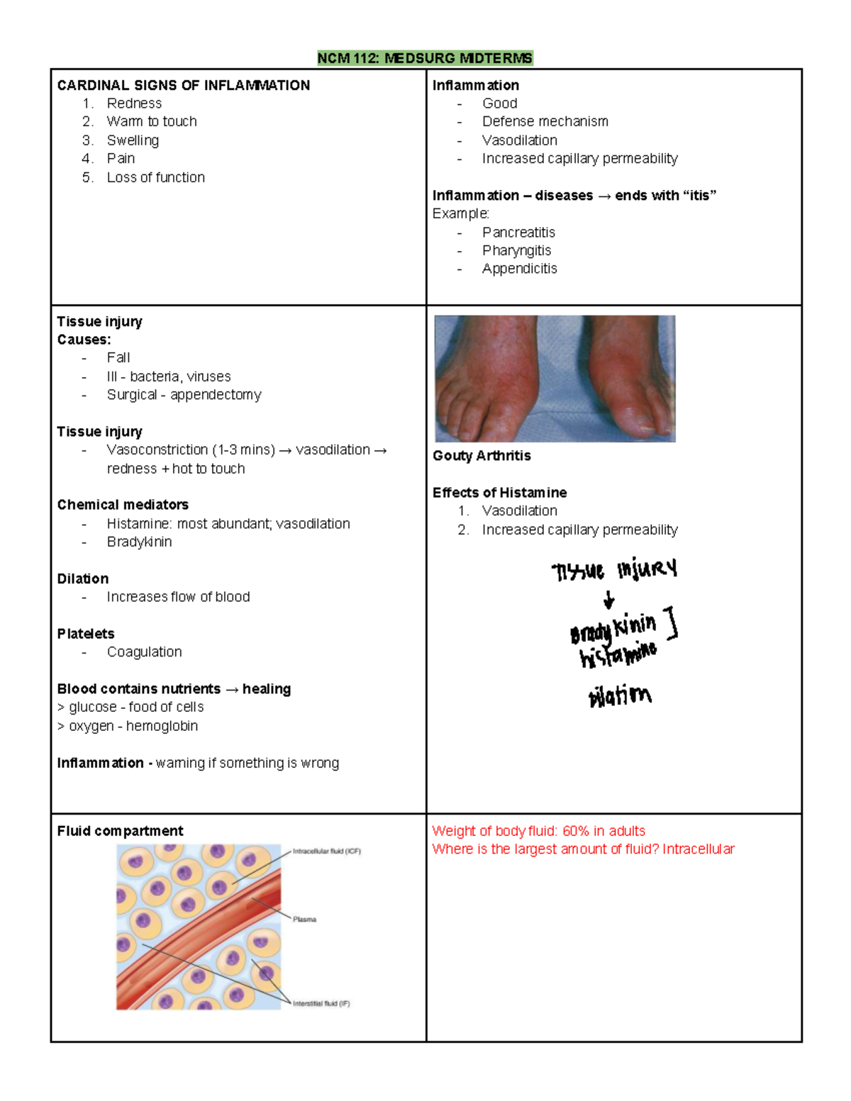 NCM 112: MEDSURG MIDTERM NOTES ON INFLAMMATION AND RAAS - Studocu