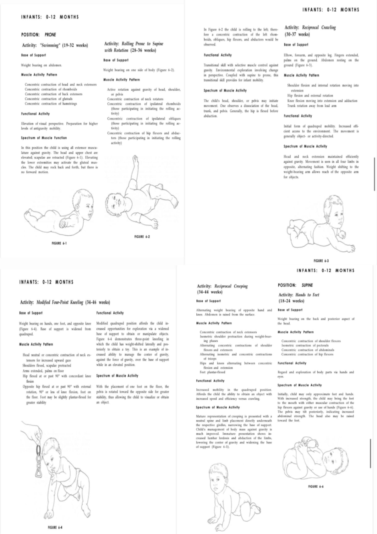 INFANTS: MONTHS - Developmental Activities and Muscle Patterns - Studocu