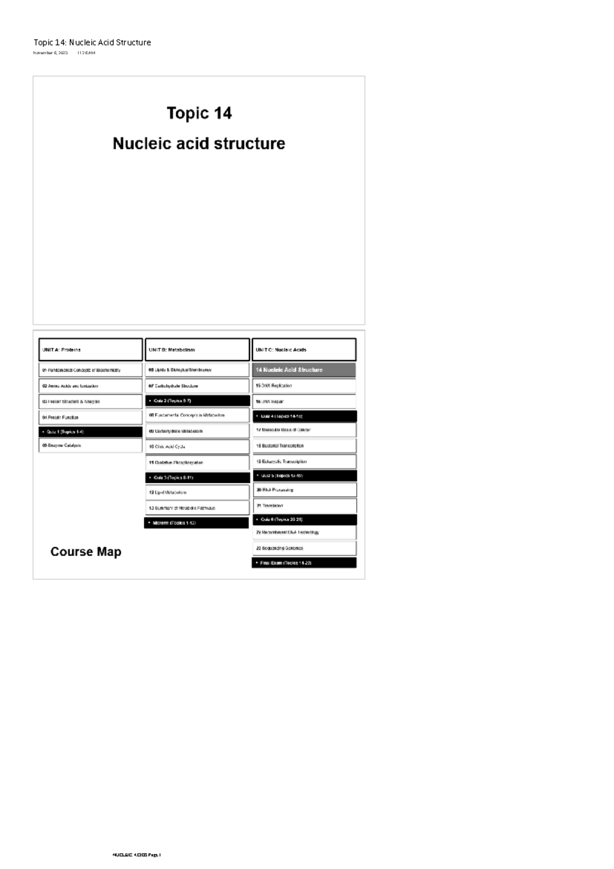 Nucleic Acids - Biochemistry and Molecular Biology (Biochemistry 2280A ...