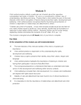 [Solved] What are three examples of child focused practices ...