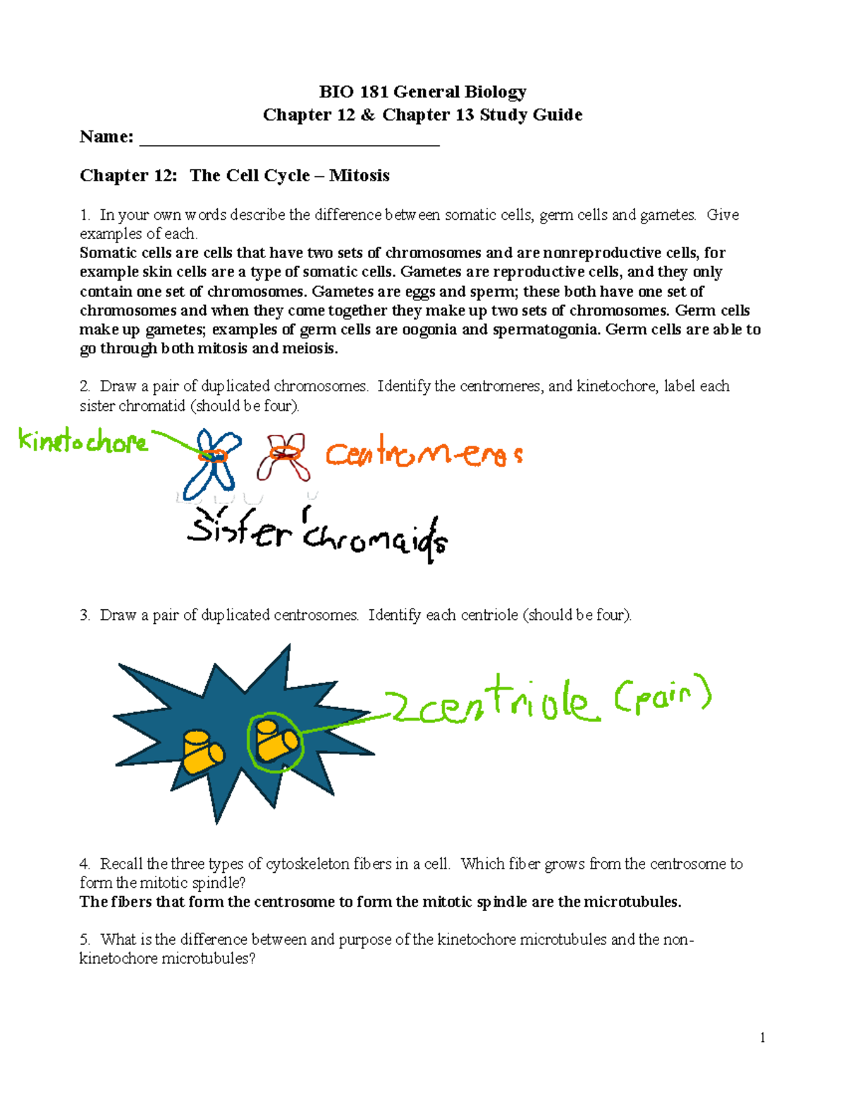 Chapt 12 and 13 Study Guide F23 - BIO 181 General Biology Chapter 12 ...