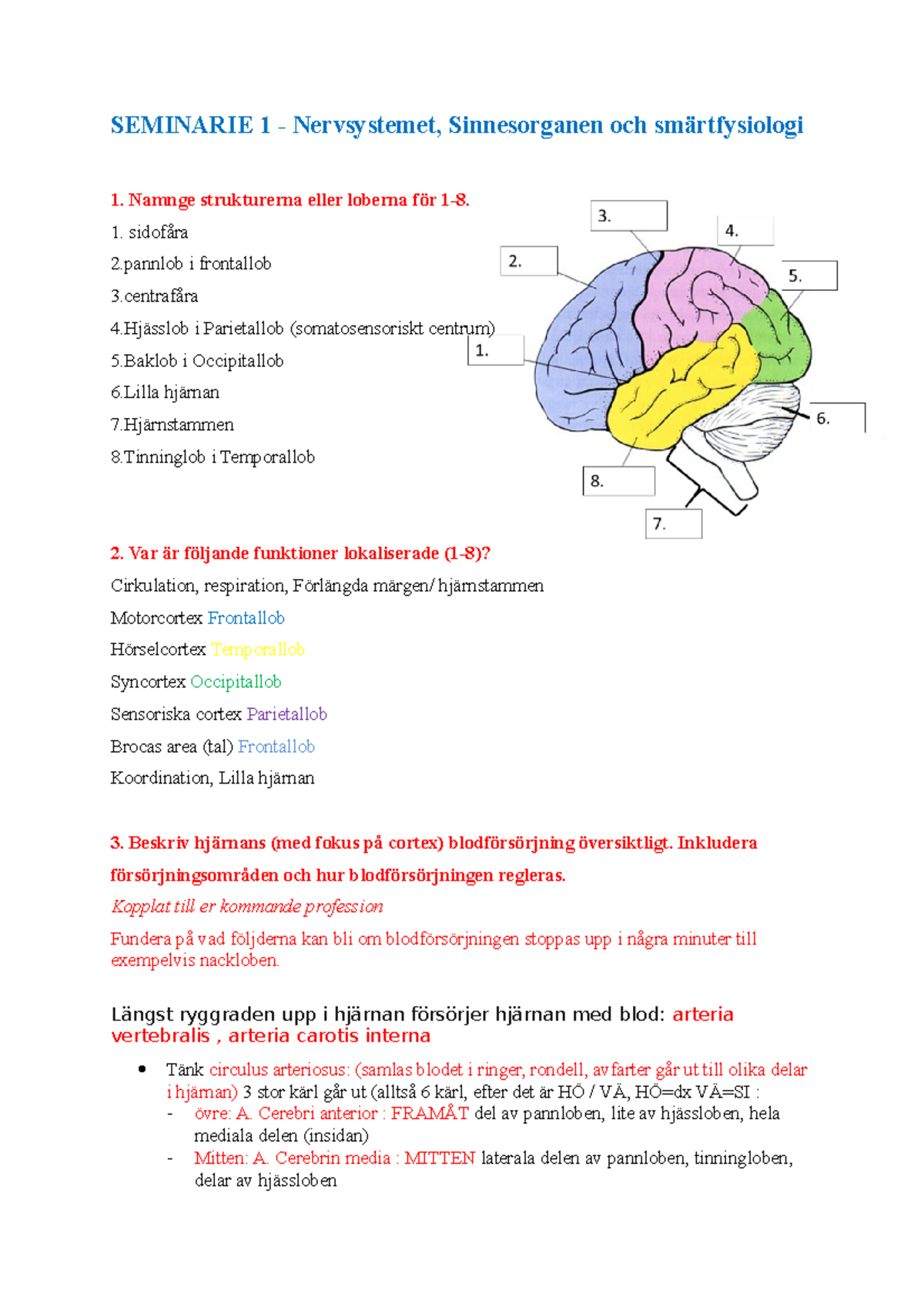 Seminarium 1: Nervsystemet och Smärtfysiologi - Sammanfattning - Studocu