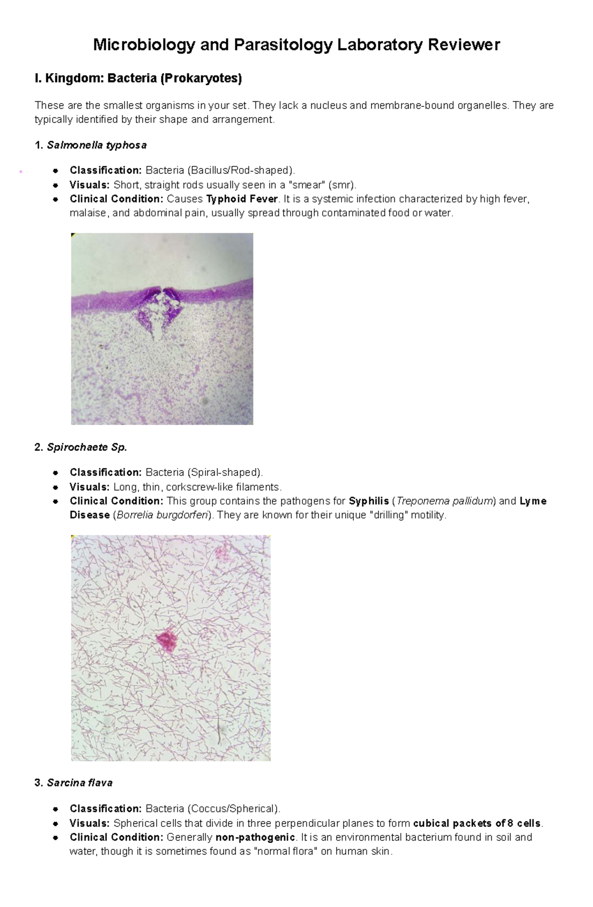 Microbiology and Parasitology Lab Reviewer I: Bacteria and Fungi - Studocu