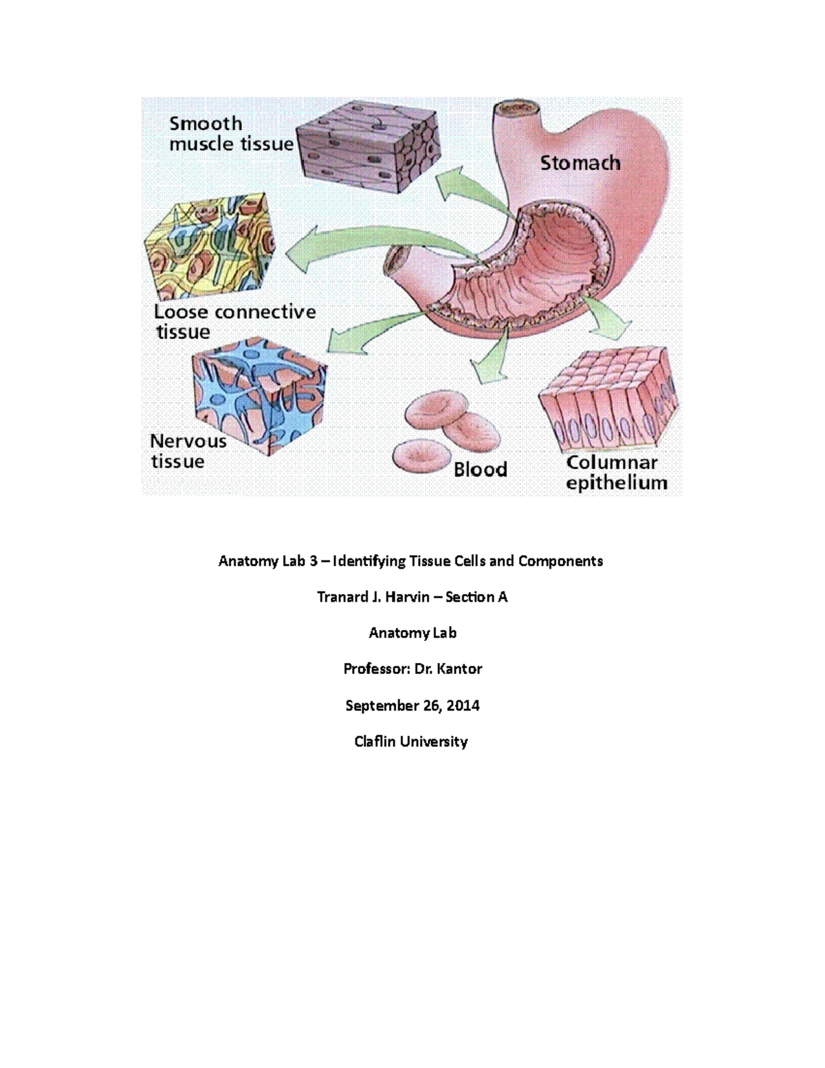 BIO202 Lab 13 - Microscopic Anatomy & Spirometry Insights - Studocu