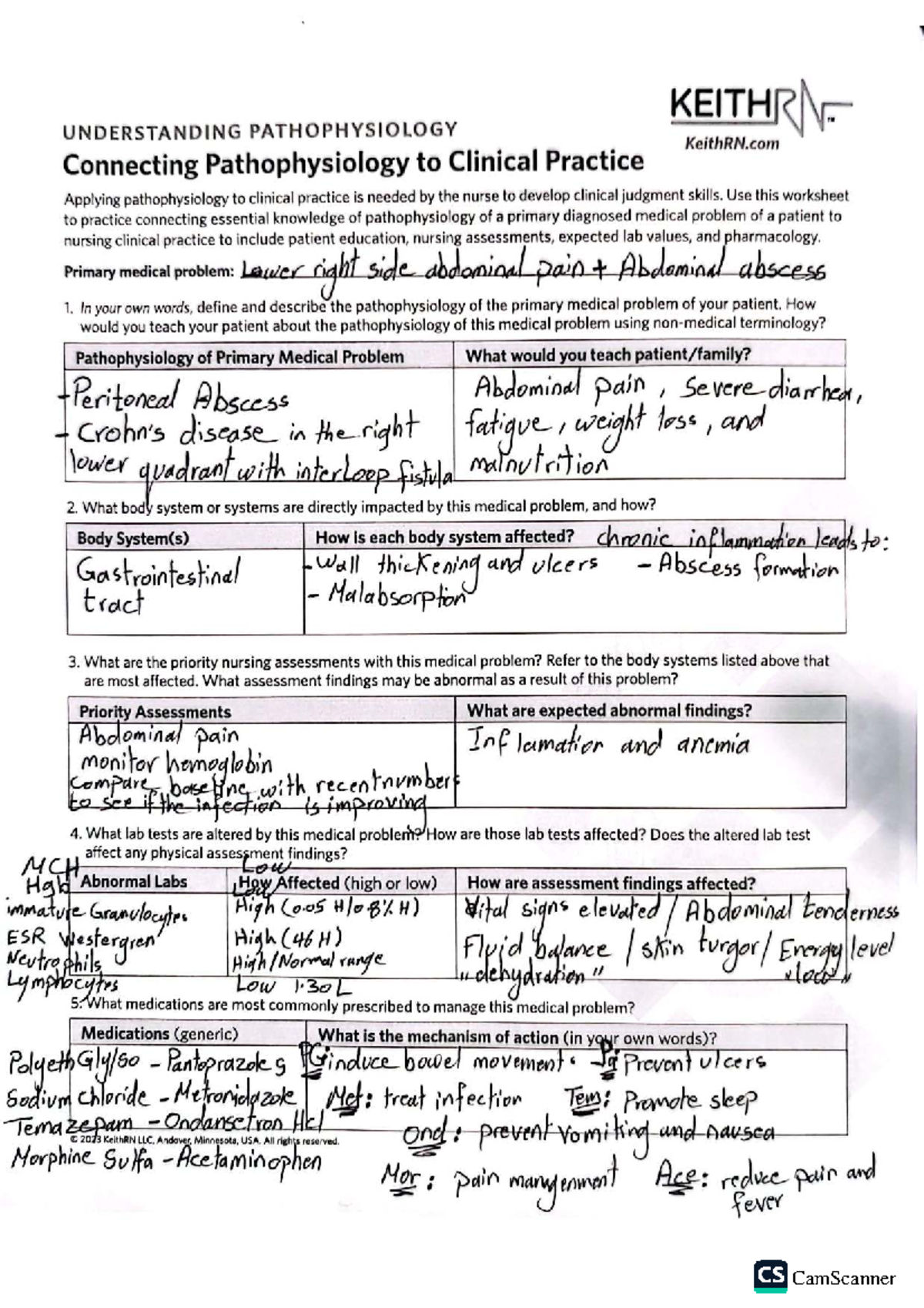 Pathophysiology & Nursing Practice: Connecting Concepts for KEITHR ...