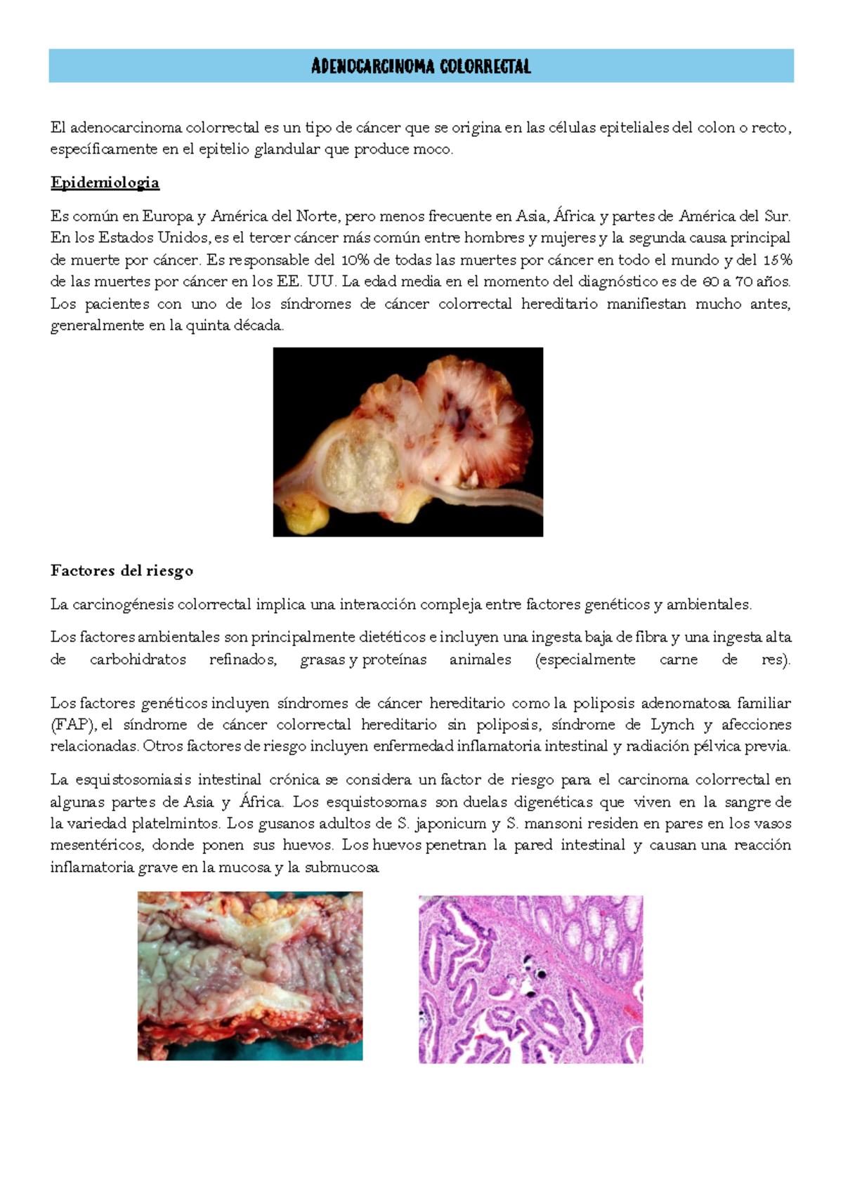 Lesiones Térmicas, Anorexia, Bulimia, Dieta y Cáncer: Estudio Integral -  Studocu, image size:1200x1696