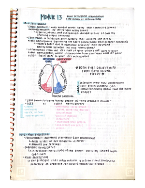 3A-Personality-table - Term Explanation Application/Example/Extension ...