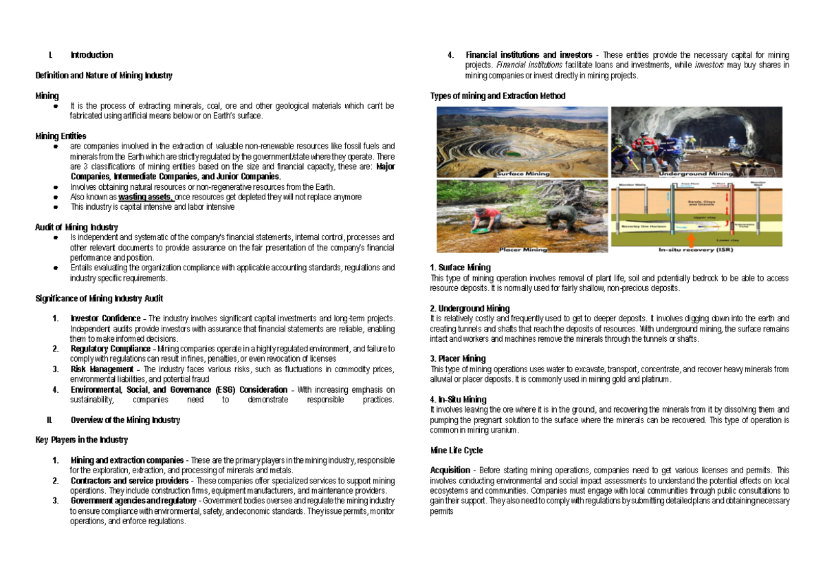 Audit Process for the Mining Industry: Compliance & Evaluation Guidelines - Document Preview