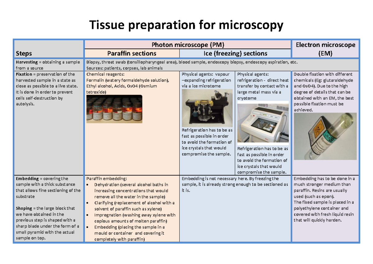 Tissue Preparation for Microscopy: Steps and Techniques - Studocu