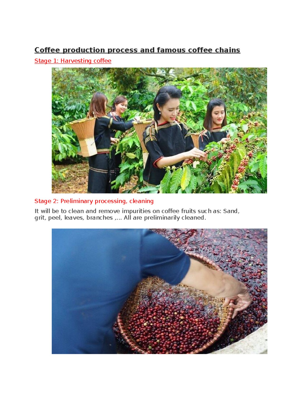Coffee Production Process & Famous Chains: A Comprehensive Guide - Studocu