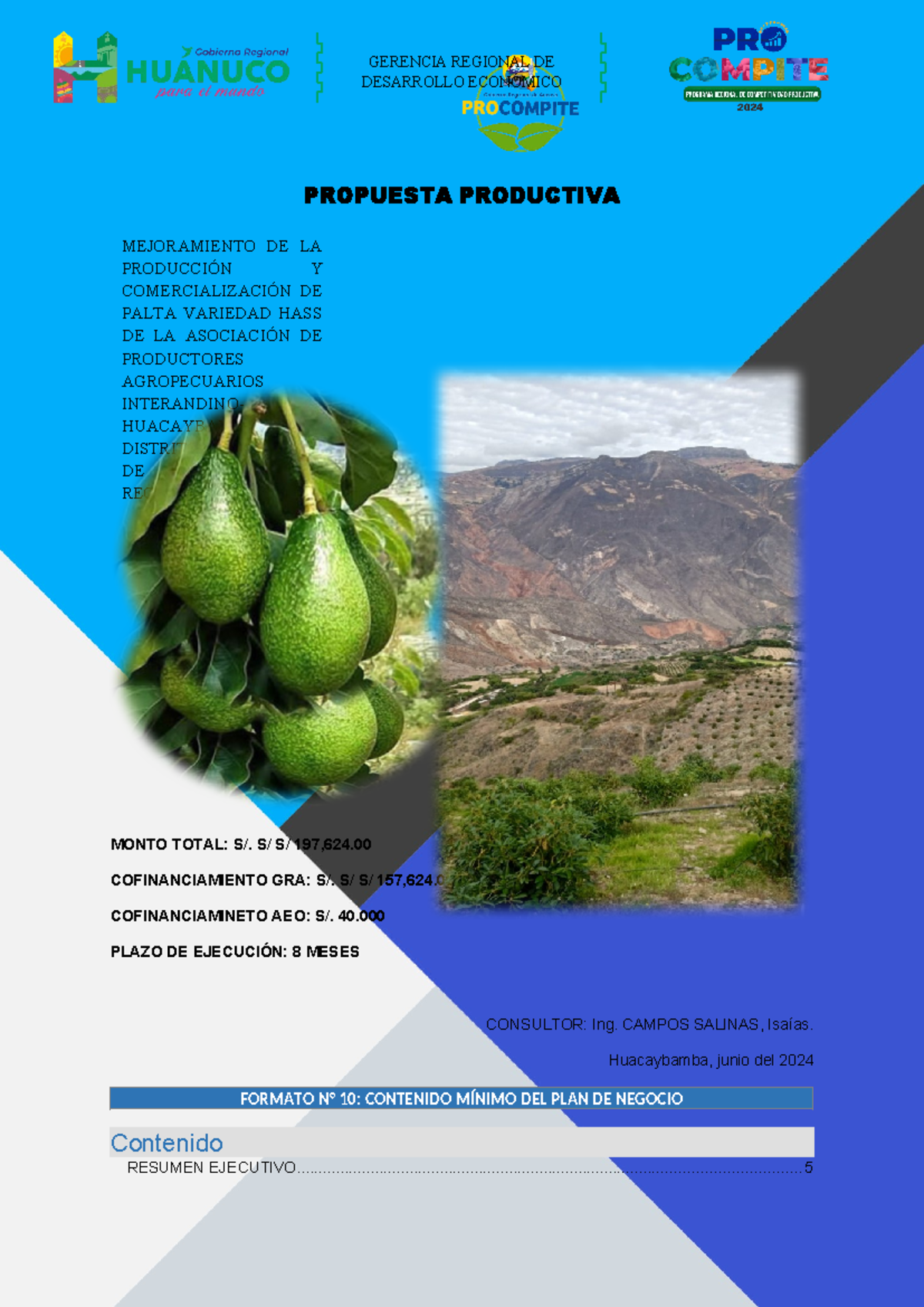 PLAN DE NEGOCIO: Mejora de Producción y Comercialización de Palta Hass HBBA - Document Preview