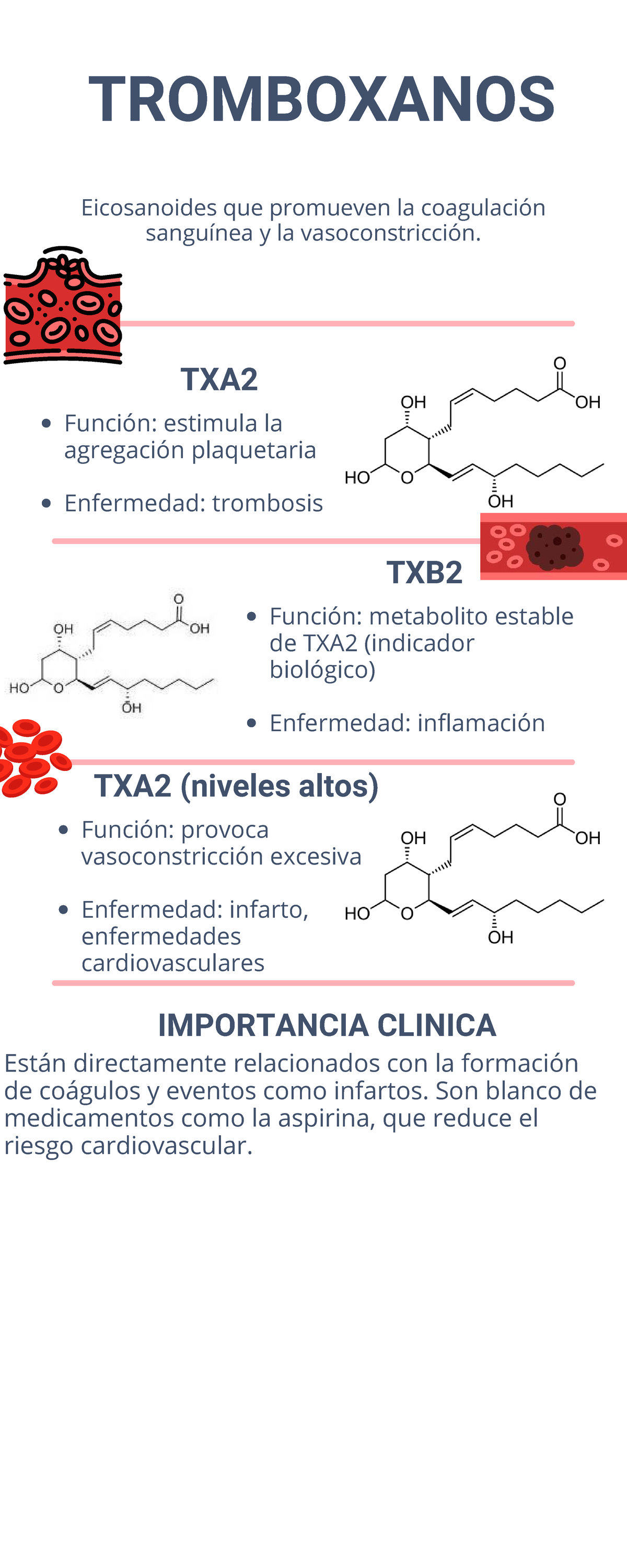 Tromboxanos - TXA2 (niveles altos) Función: provoca vasoconstricción ...