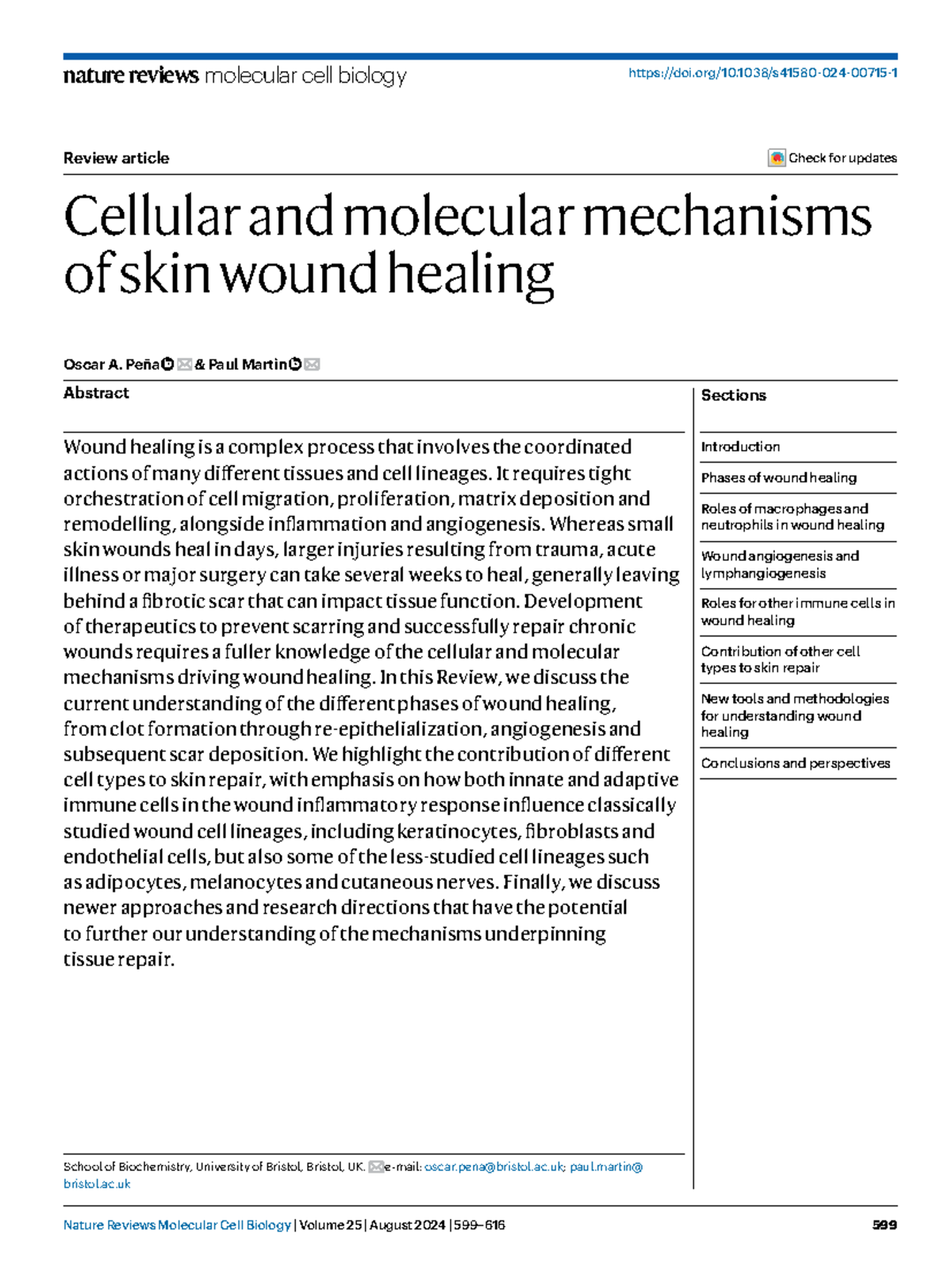 Cellular and Molecular Mechanisms of Skin Wound Healing (BMCH 2024 ...