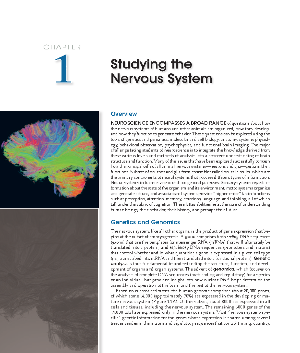 Neuroscience 6e: Key Concepts and Insights on Nervous System Functions ...