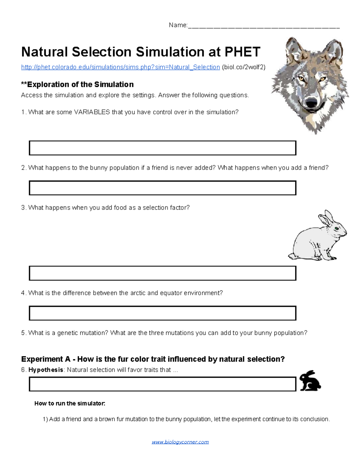 Natural Selection Simulation Lab Report - PHET Analysis - Studocu