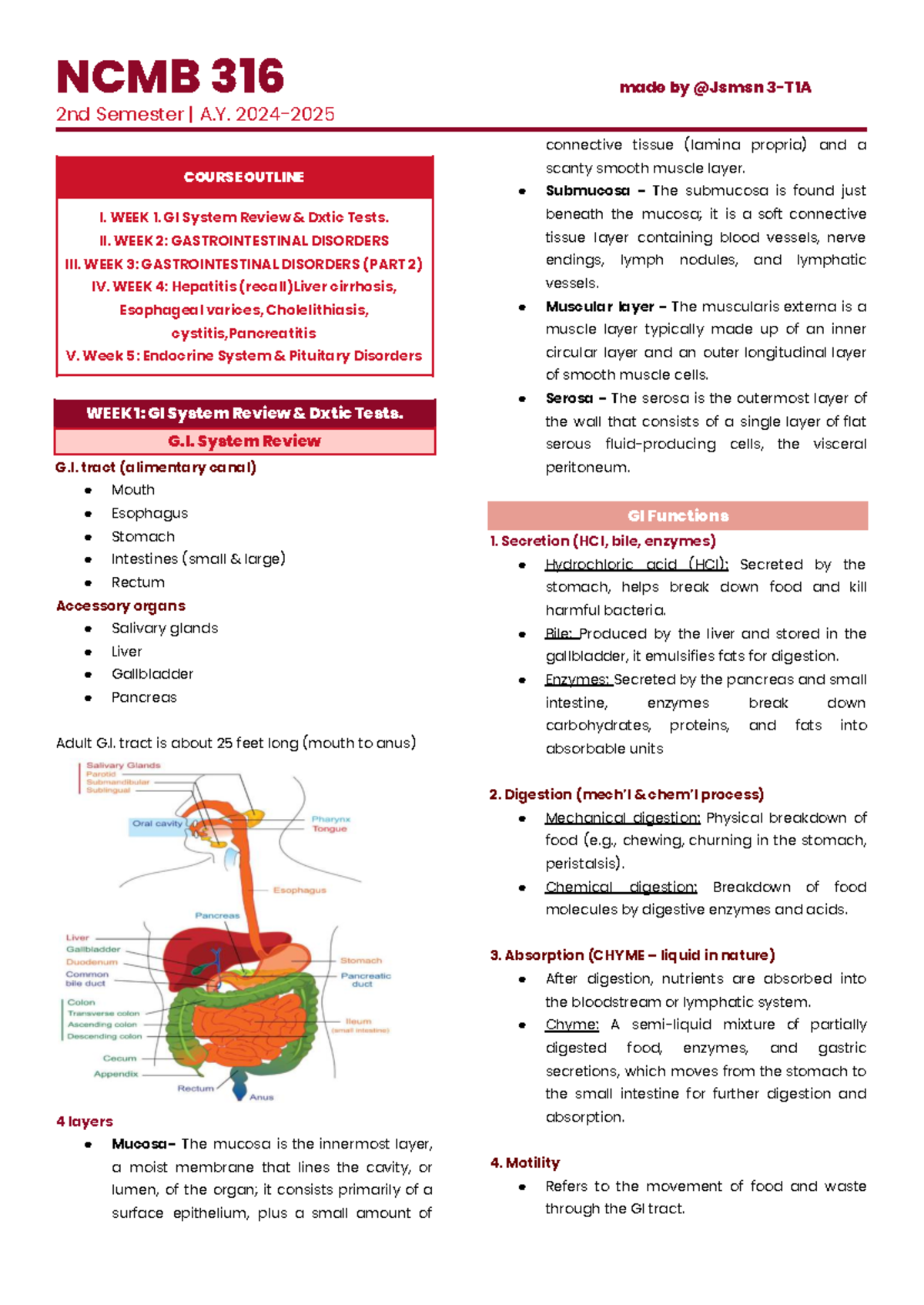 NCMB 316 - Gastrointestinal System Overview and Disorders Study Guide ...