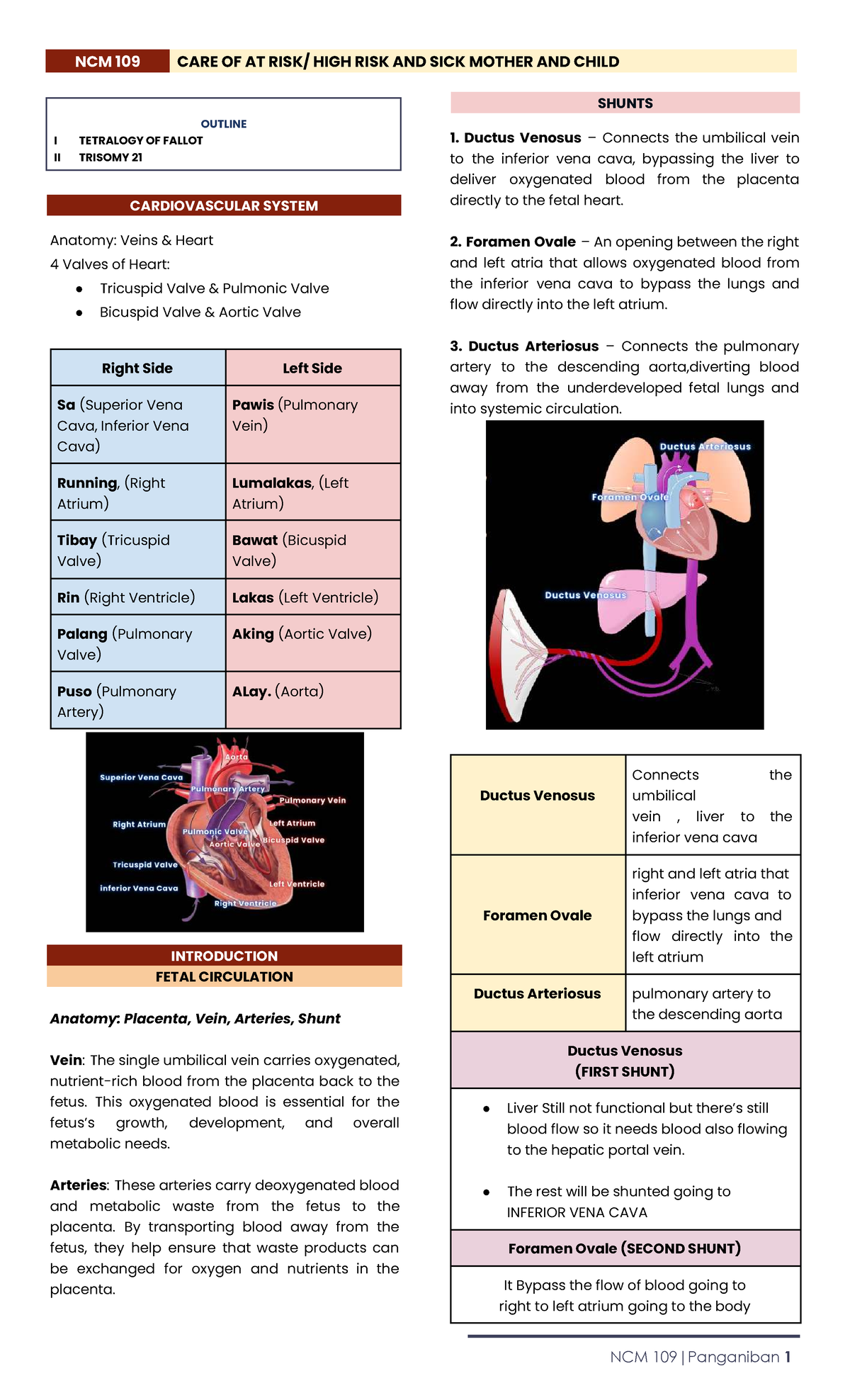 NCM 109 Final Exam Study Guide: Tetralogy of Fallot & Trisomy 21 - Studocu
